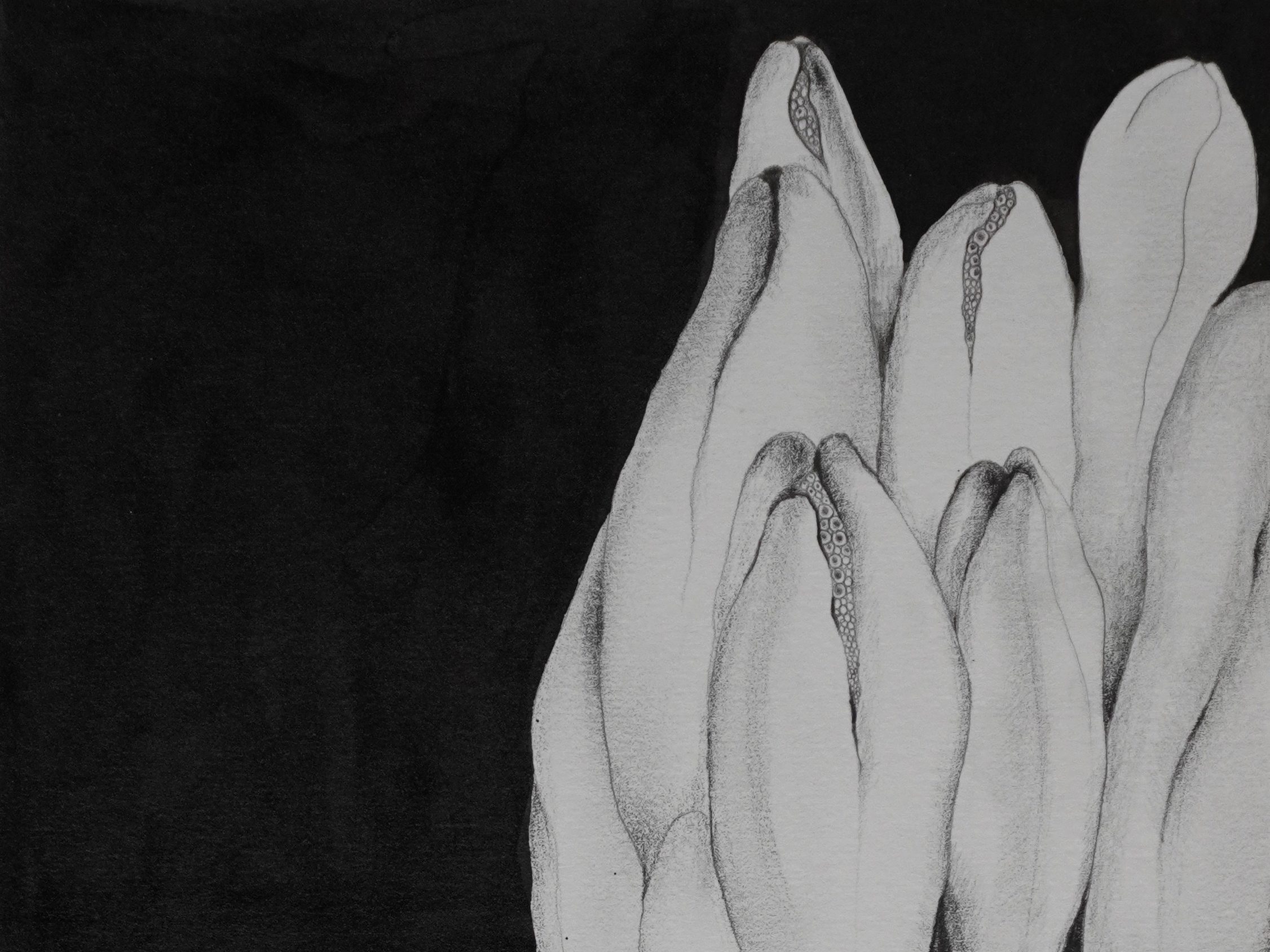 drawings 2020 - 2022